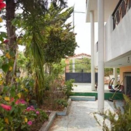 George 'S Nest Apartment Agios Spyridon  Exterior foto